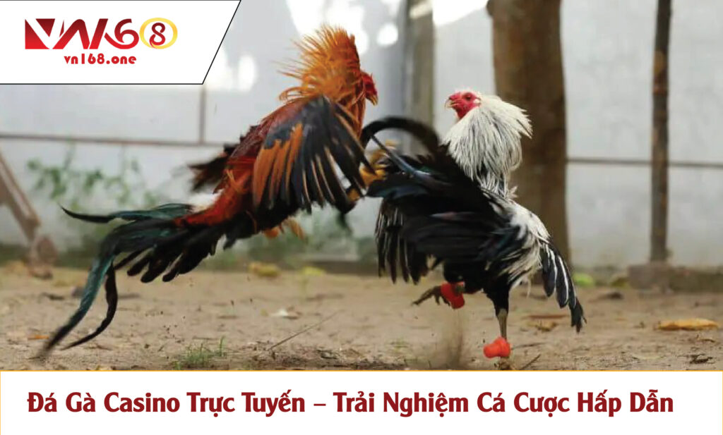 Đá Gà Casino Trực Tuyến – Trải Nghiệm Cá Cược Hấp Dẫn